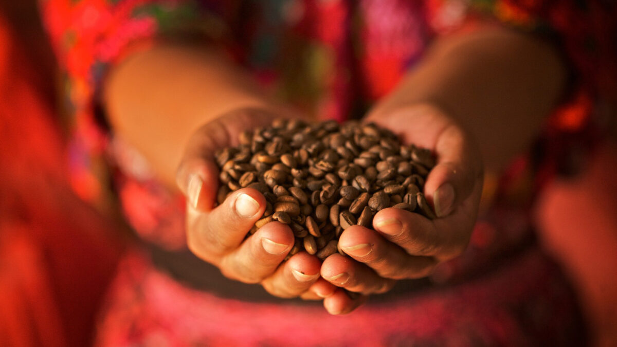 You are currently viewing Six facts you should know about Fairtrade coffee