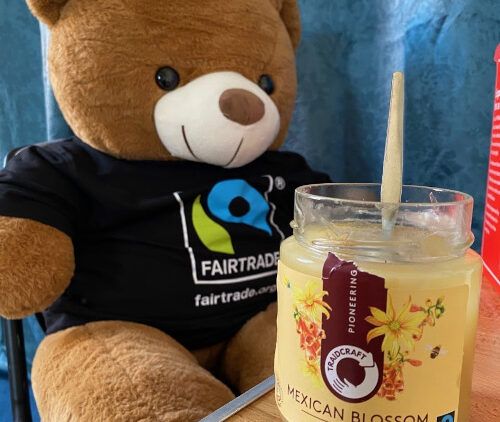 Fairtrade teddy