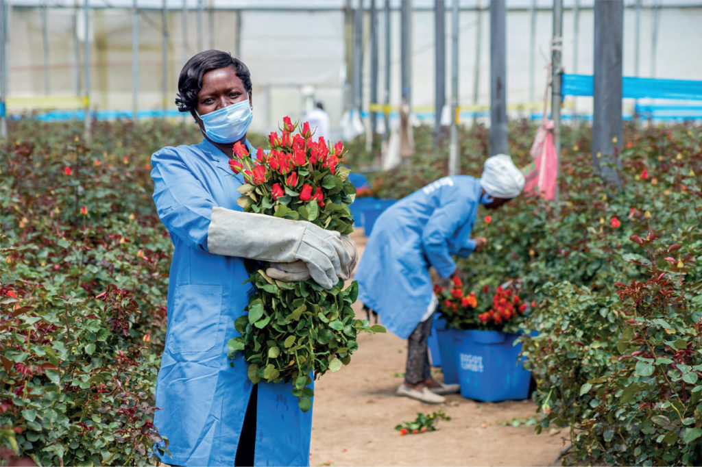 Portrait of Joan Injete Akumu holding red roses with another woman working in the background.