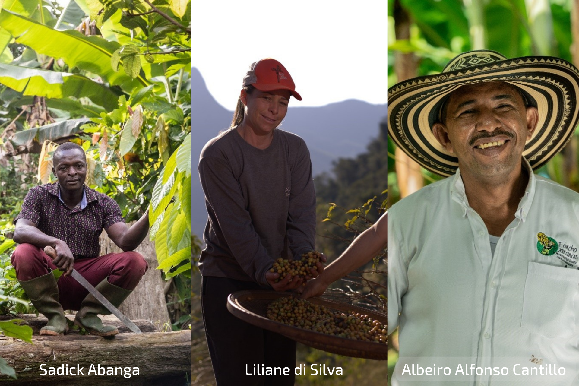 You are currently viewing 3 Fairtrade farmers tackling the climate crisis